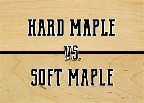 maple soft test|hard vs soft maple color.